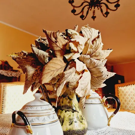 Agro Szczesliwa Siodemka Jarkowice (Lubawka)