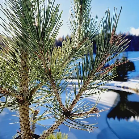 Farma Agro Szczesliwa Siodemka *