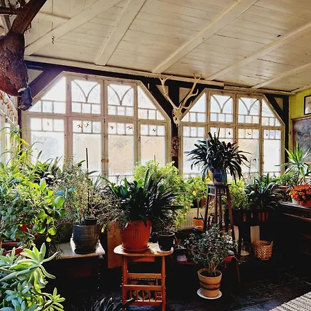 Agro Szczesliwa Siodemka *