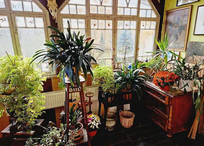 Agro Szczesliwa Siodemka * Jarkowice (Lubawka)