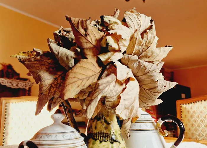 Agro Szczesliwa Siodemka Jarkowice (Lubawka)