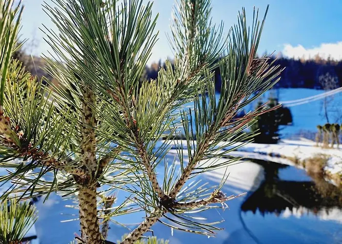 Bauernhof Agro Szczesliwa Siodemka *